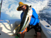 conley yellowfin 2.png